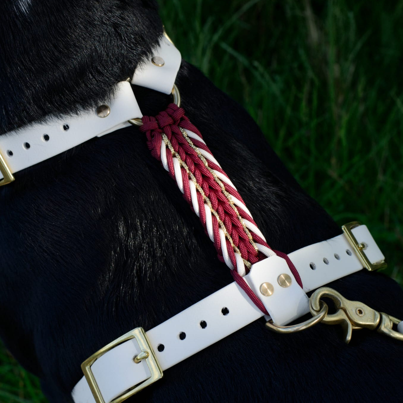 Harnais interchangeable