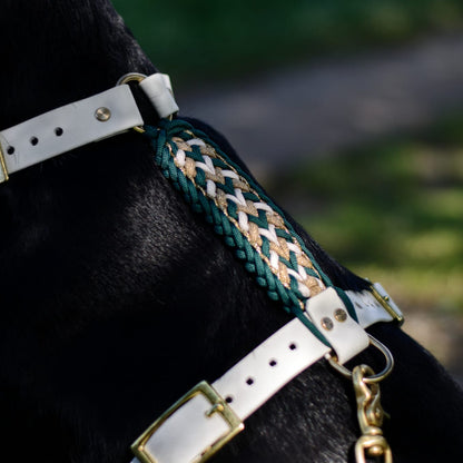 Harnais interchangeable