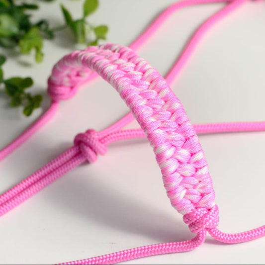 Licol rose fluo