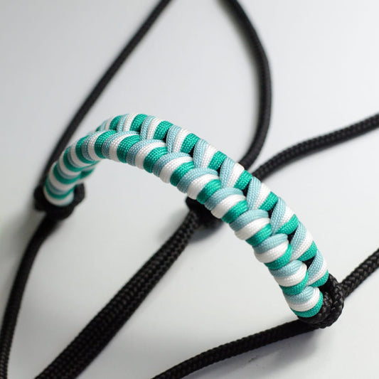 Licol Aqua