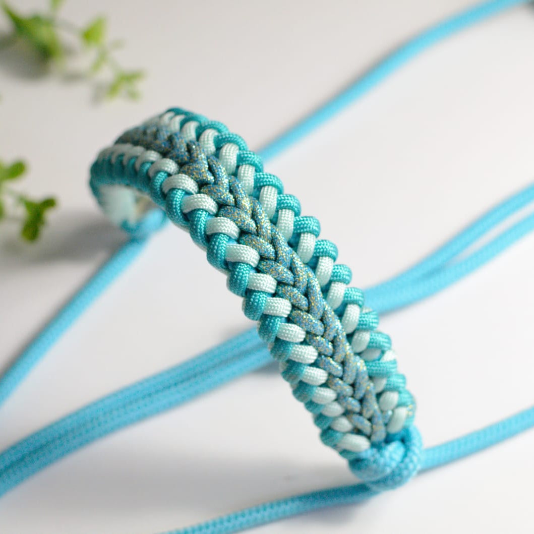Licol Helmy