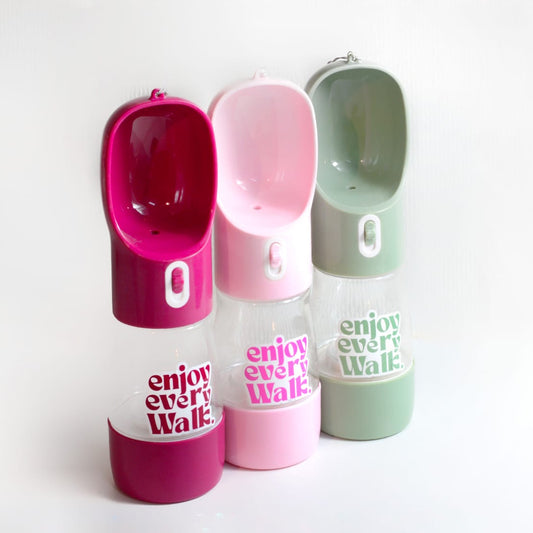 Gourdes pour chien
