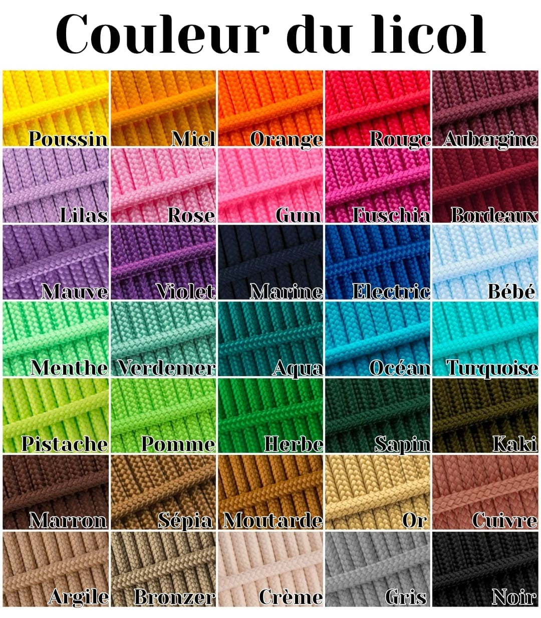 Licol Personnalisable